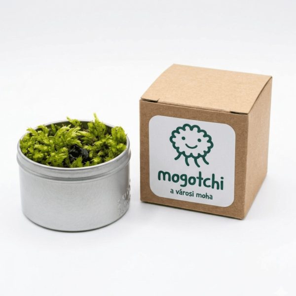 Mogotchi - silver