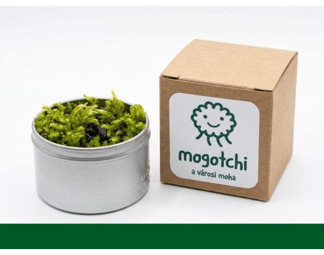 Mogotchi